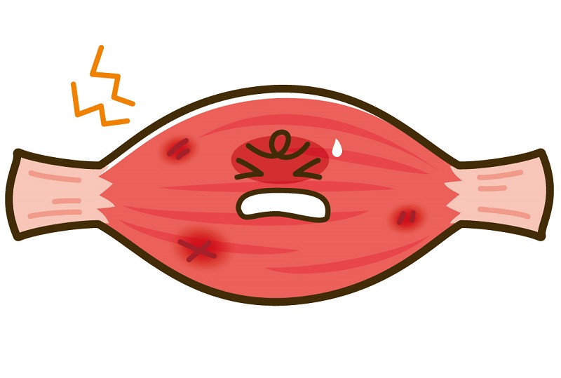 筋疎血と肩こりの関係とは