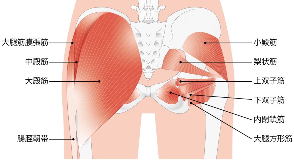 骨盤をぐいぐい押しても意味はない