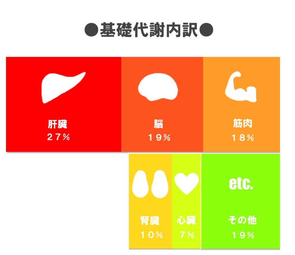 基礎代謝アップ
