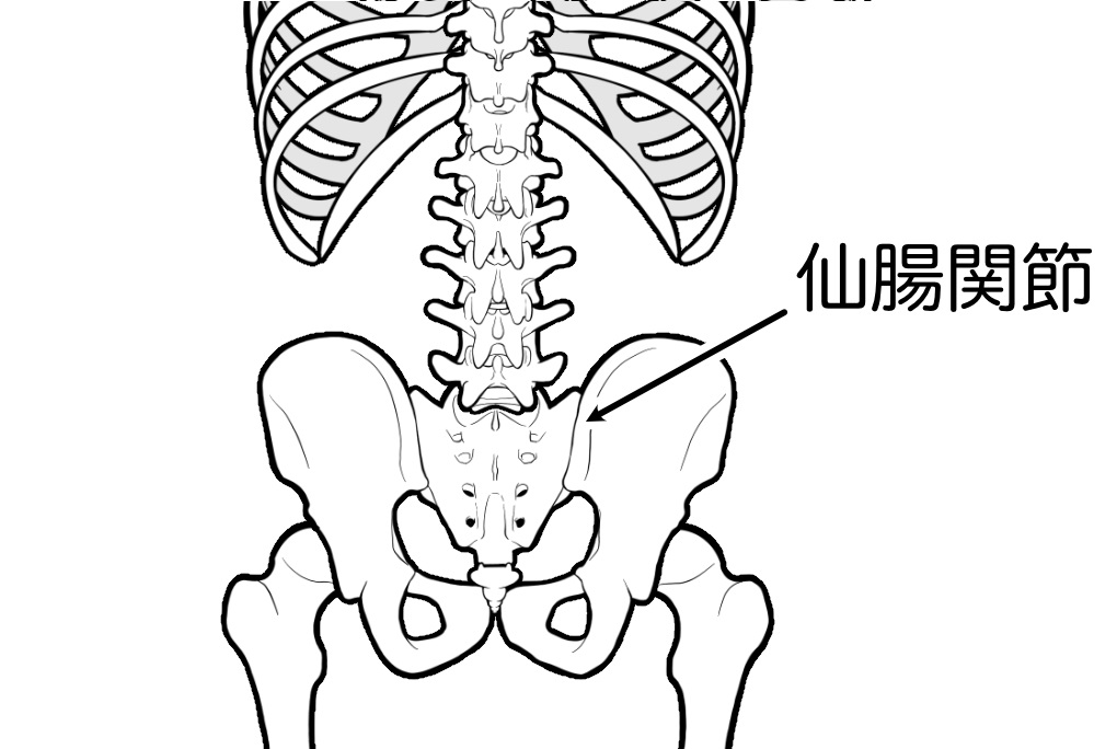 仙腸関節の可動域減少
