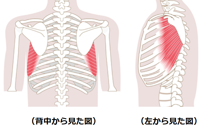 前鋸筋のストレッチ