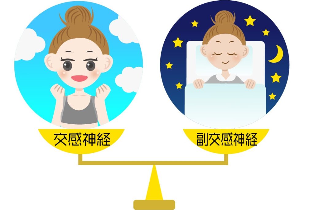 自律神経の働き