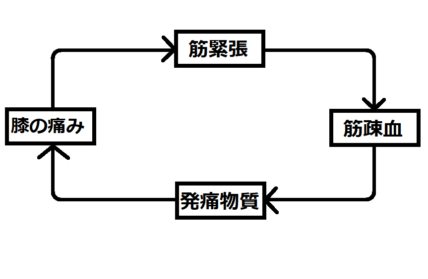 筋肉の緊張がひざの痛みを生じるメカニズム