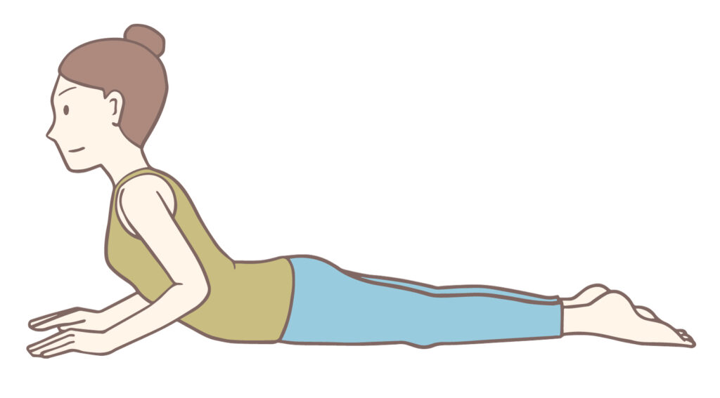 お腹のストレッチ